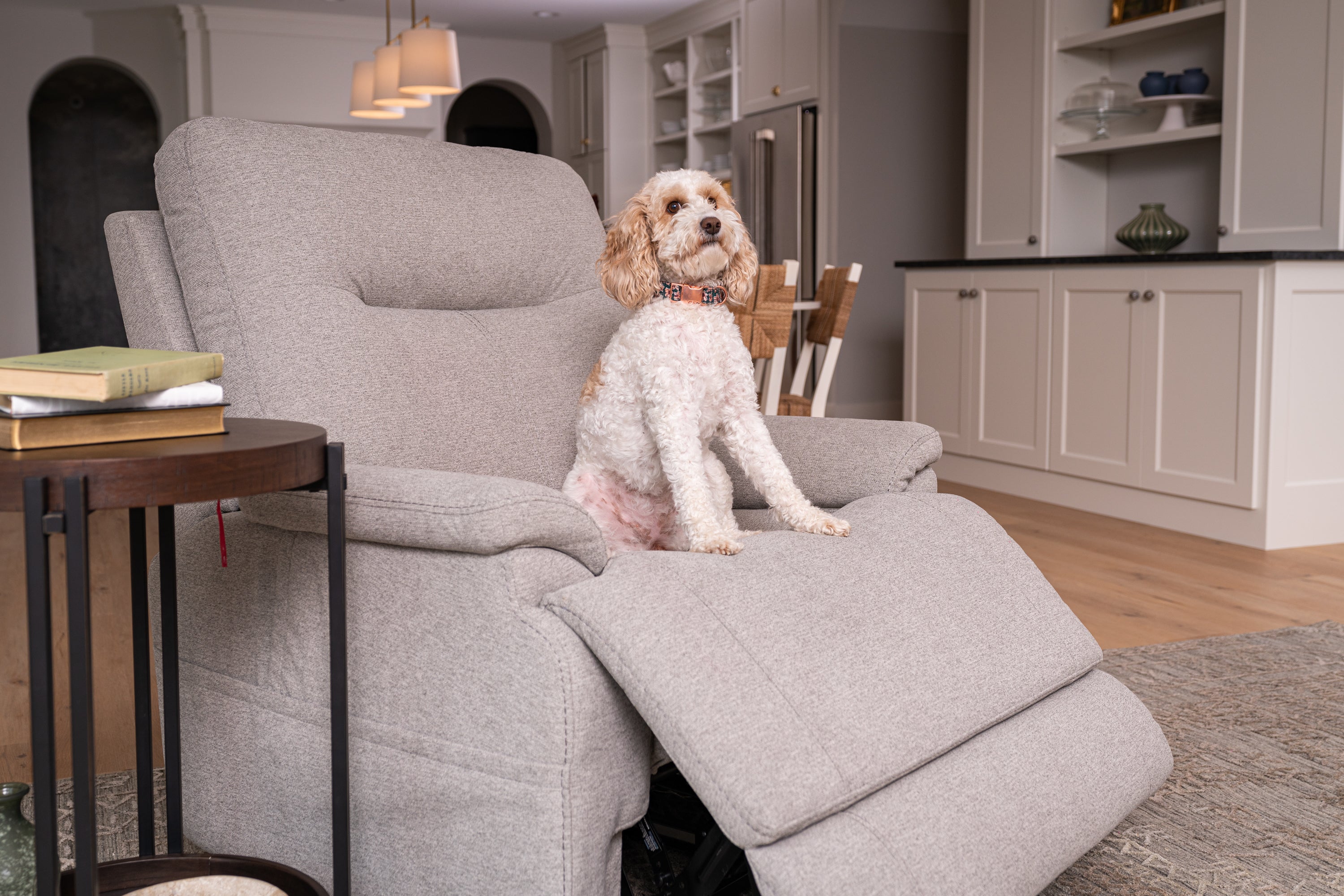 Flexsteel Zecliner Model 1 Fabric Power Lift Recliner with Power Headrest & Lumbar in Dove - 1091-55PH