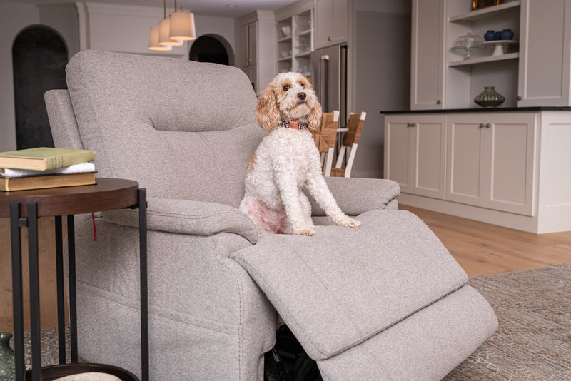 Flexsteel Zecliner Model 1 Fabric Power Lift Recliner with Power Headrest & Lumbar in Dove - 1091-55PH