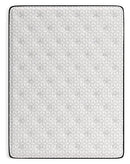 Limited Edition Plush Mattress [ONLINE ONLY SALE!]