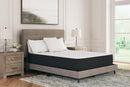 Limited Edition Plush Mattress [ONLINE ONLY SALE!]