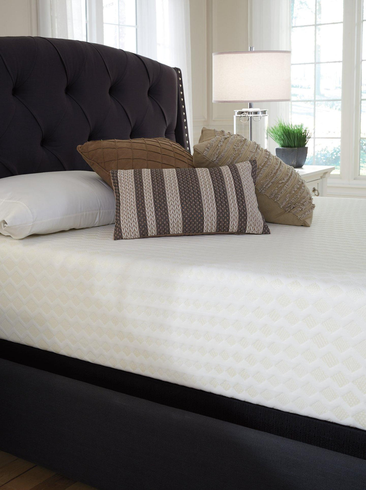 Chime 12 Inch Plush Memory Foam Mattress in a Box [ONLINE ONLY SALE!]