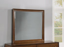 Flexsteel Wynwood Ludwig Mirror in Medium Brown