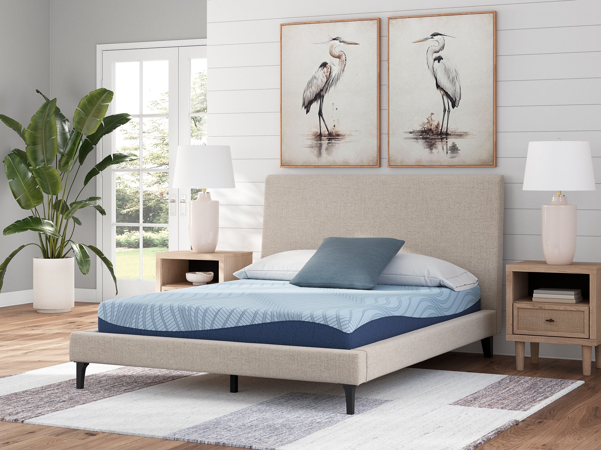 Dellyn Peak 2.0 8 Memory Foam Mattress in a Box [ONLINE ONLY SALE! HOT BUY!]